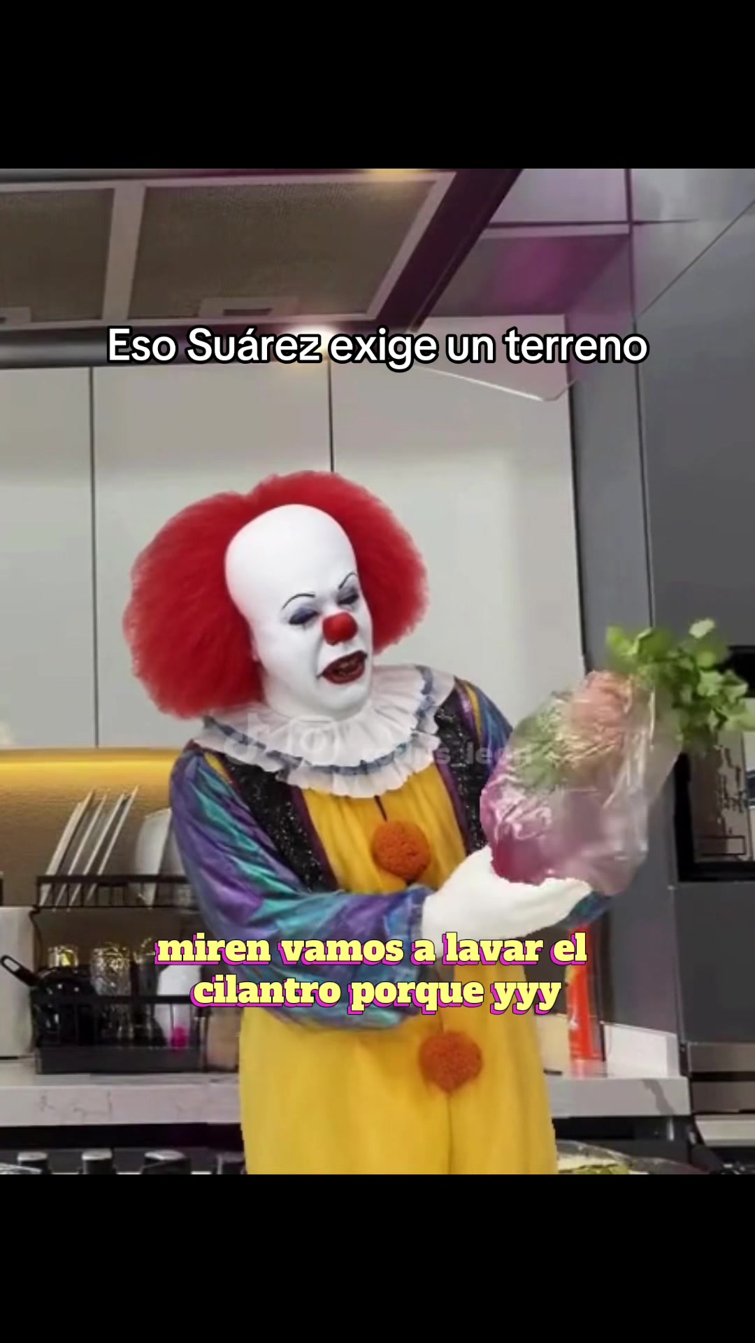 @RODRIS