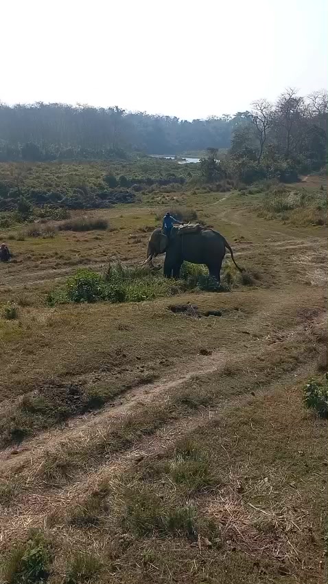 @नानु को प्रेम ( nanuko pream )