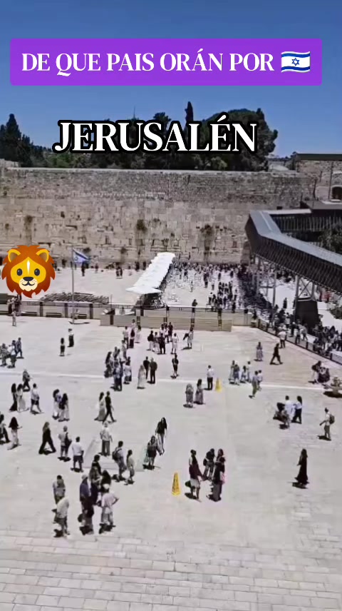 @Haim Israel jai 🇮🇱