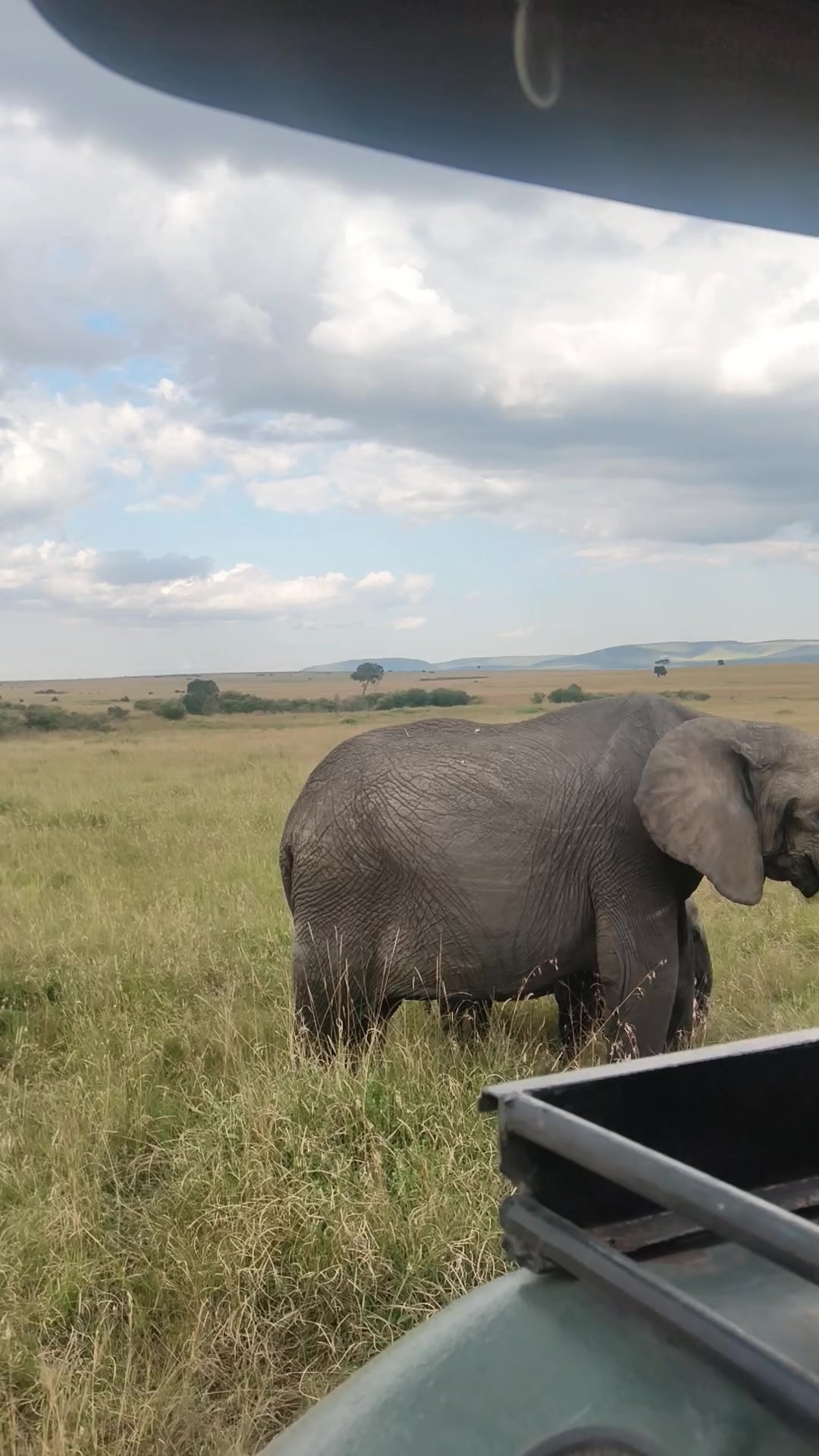 @Nyagayas Safaris 🤝