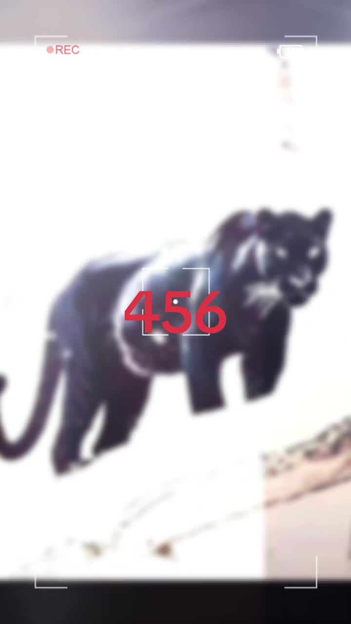 @โแฉแฐ๐ฒ๐๐