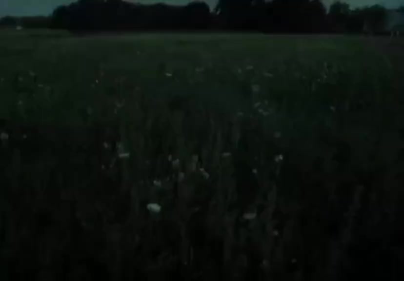 @idk