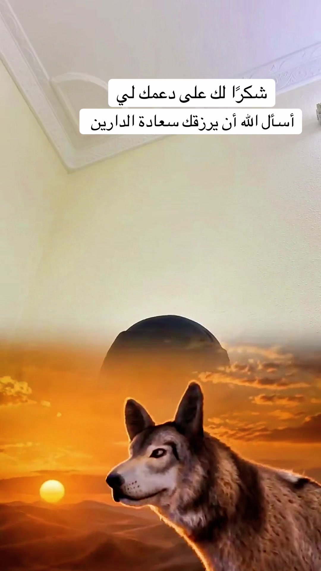 @عائشة الحربي  يوشا