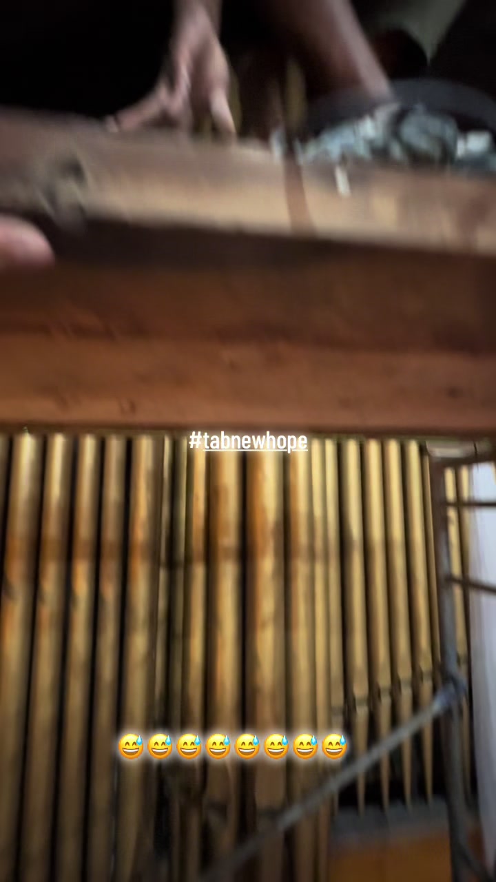 @trevitoyhwh