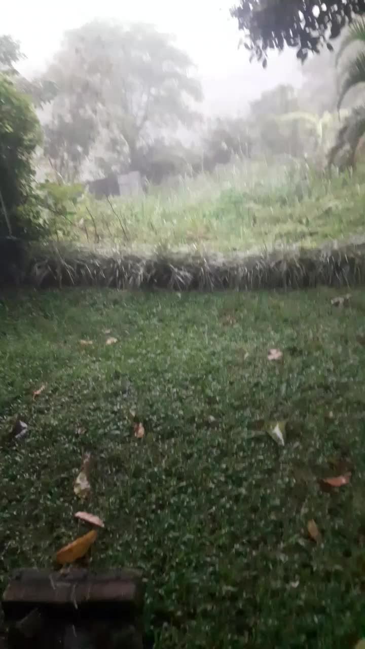 @gardenbron86