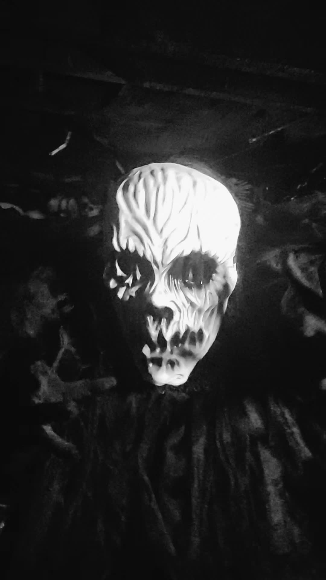 @DarkWonderland