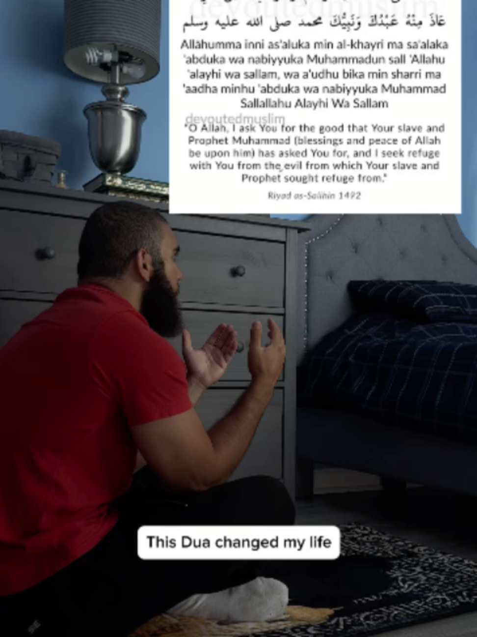 @tazthepali