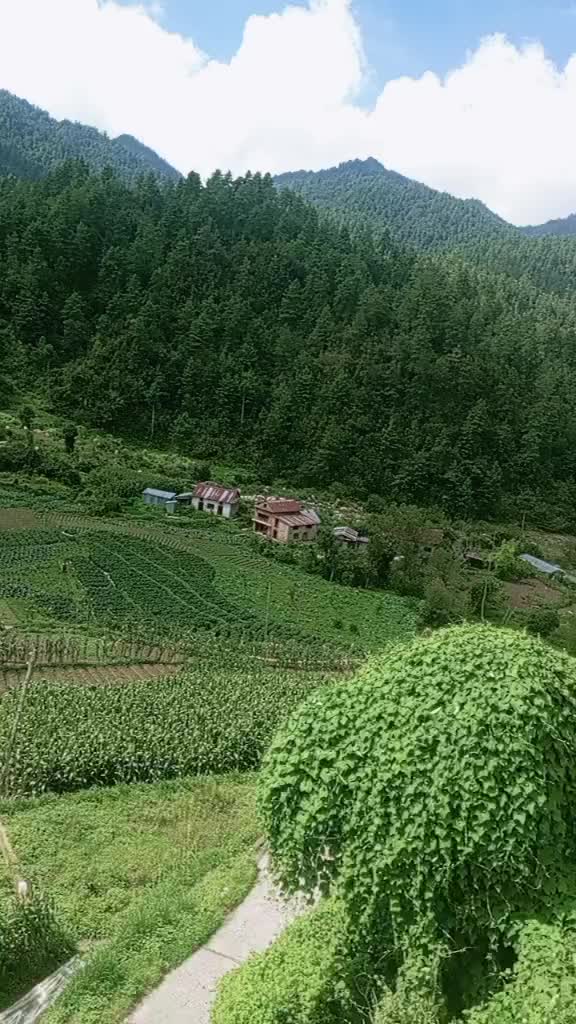@bimala