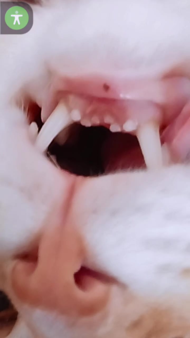 @user98988601367