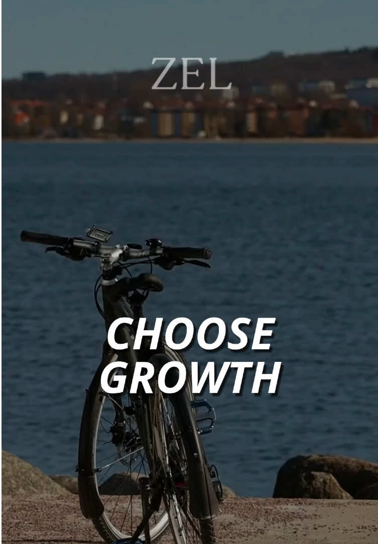 @ZEL &mdash; Zero Excuses Lab