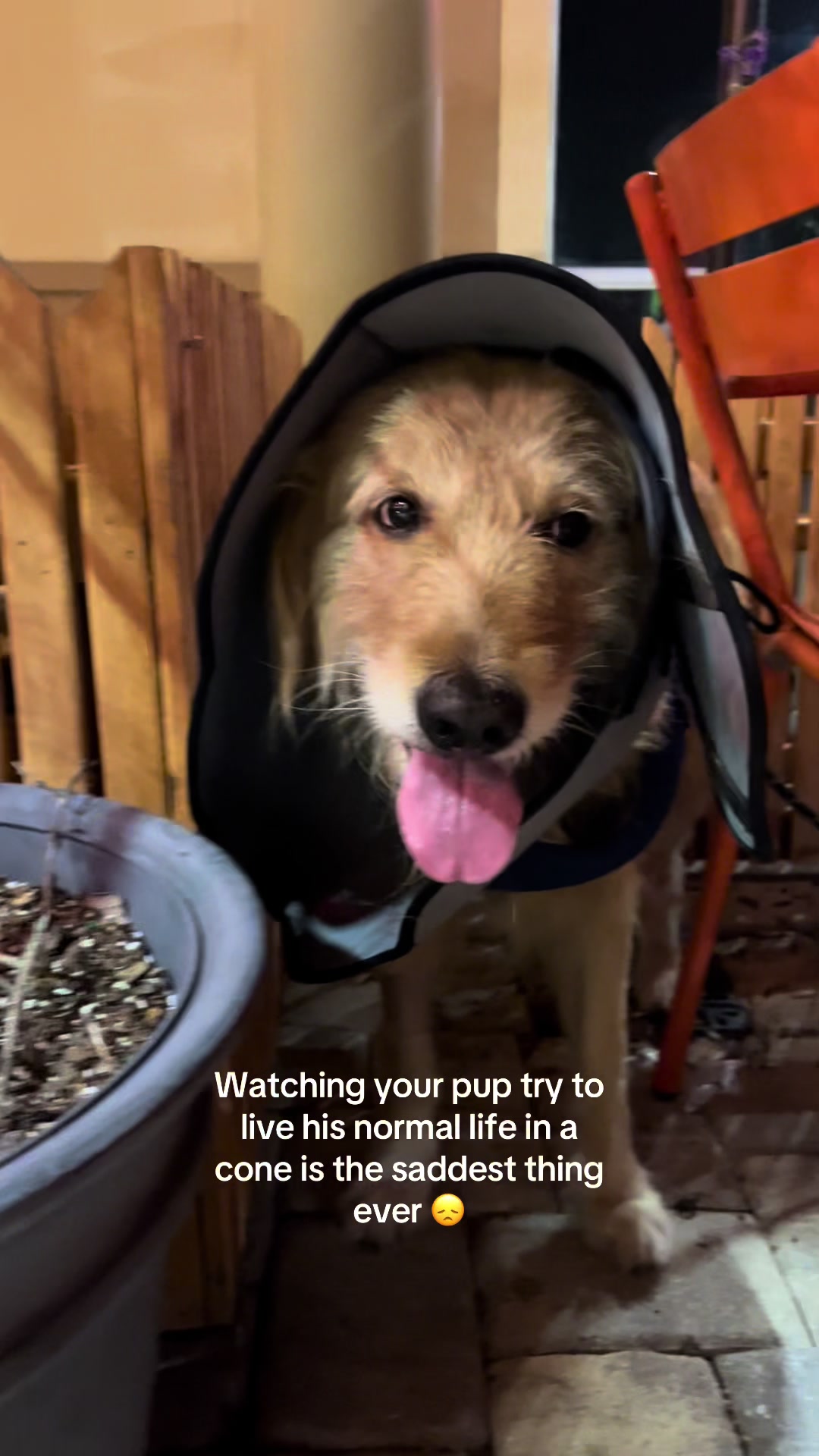 @Leo the Doodle