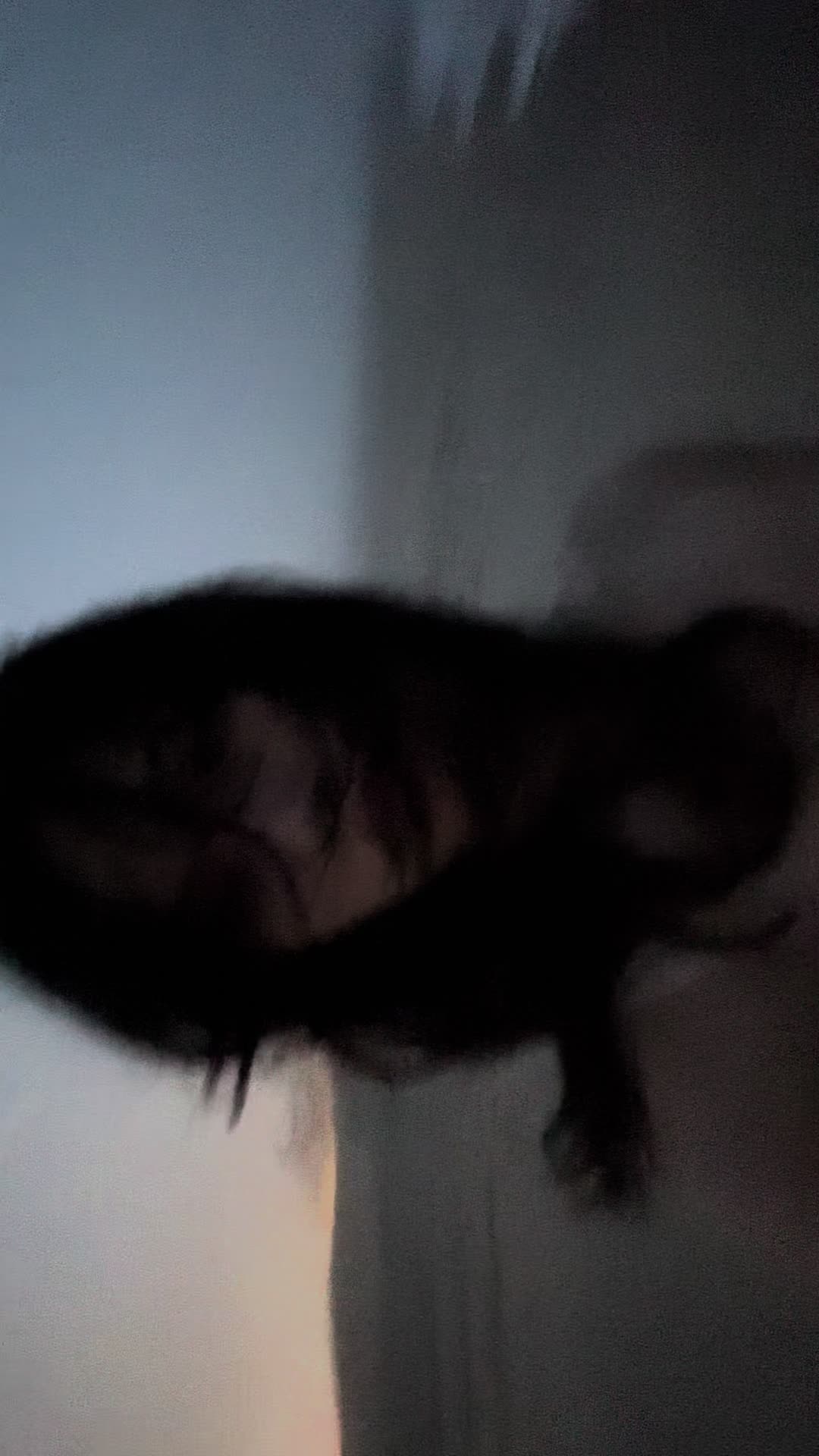 @Jujujadefish