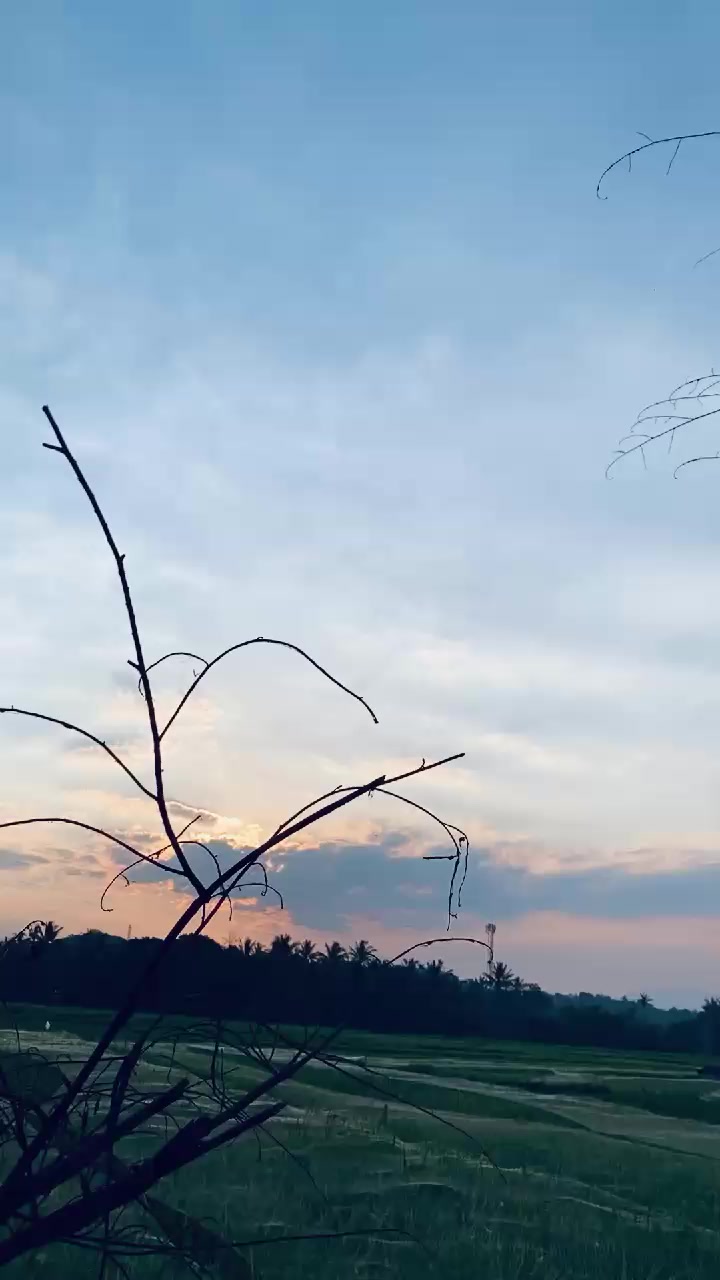 @𝙎𝙡𝙢𝙩𝙩
