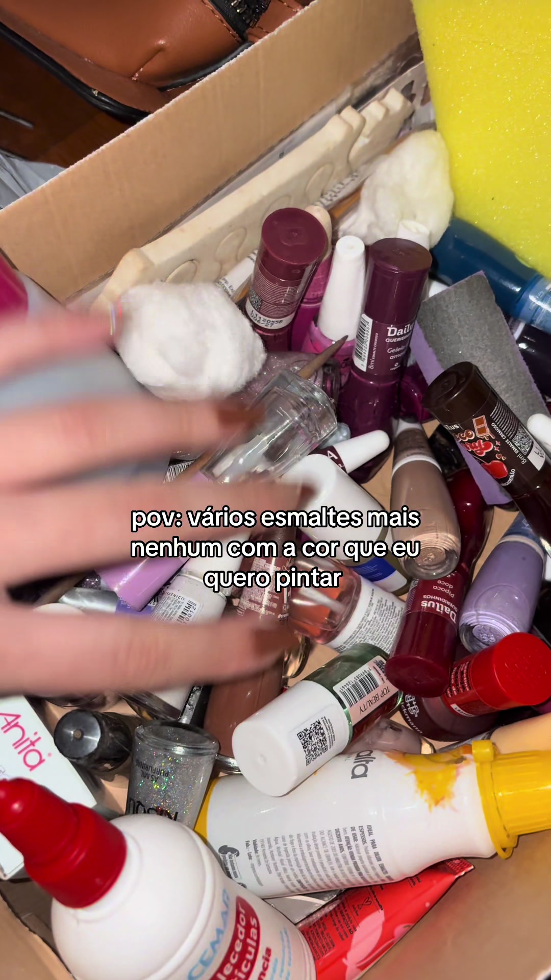 @Paola Campagna