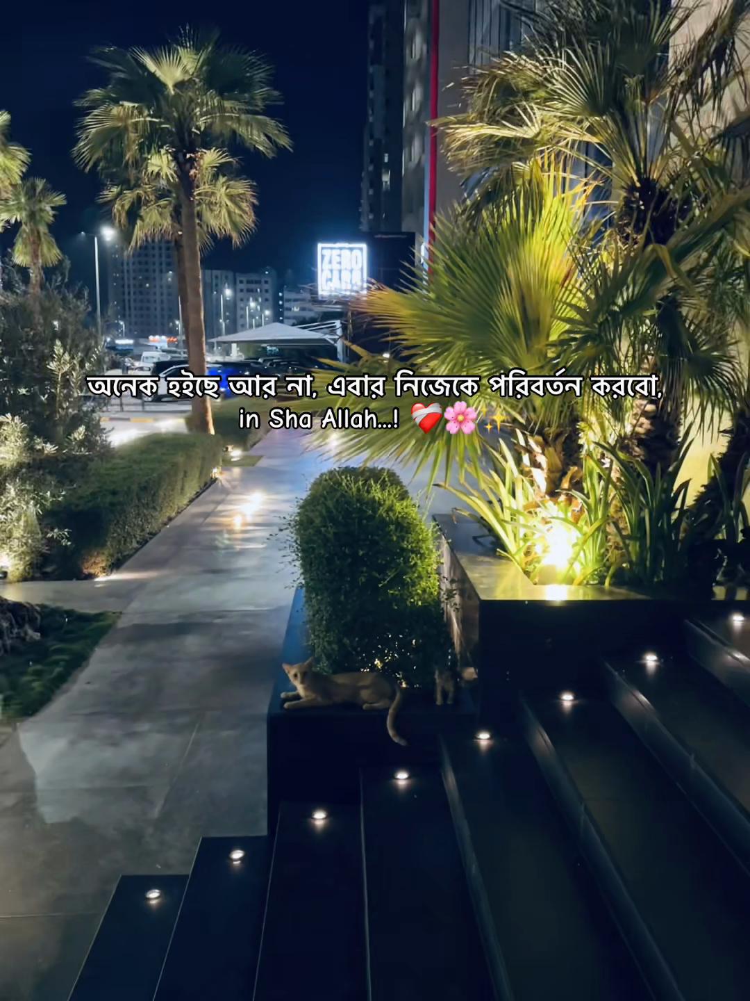 @🇰🇼F_A_R_U ✨🌸