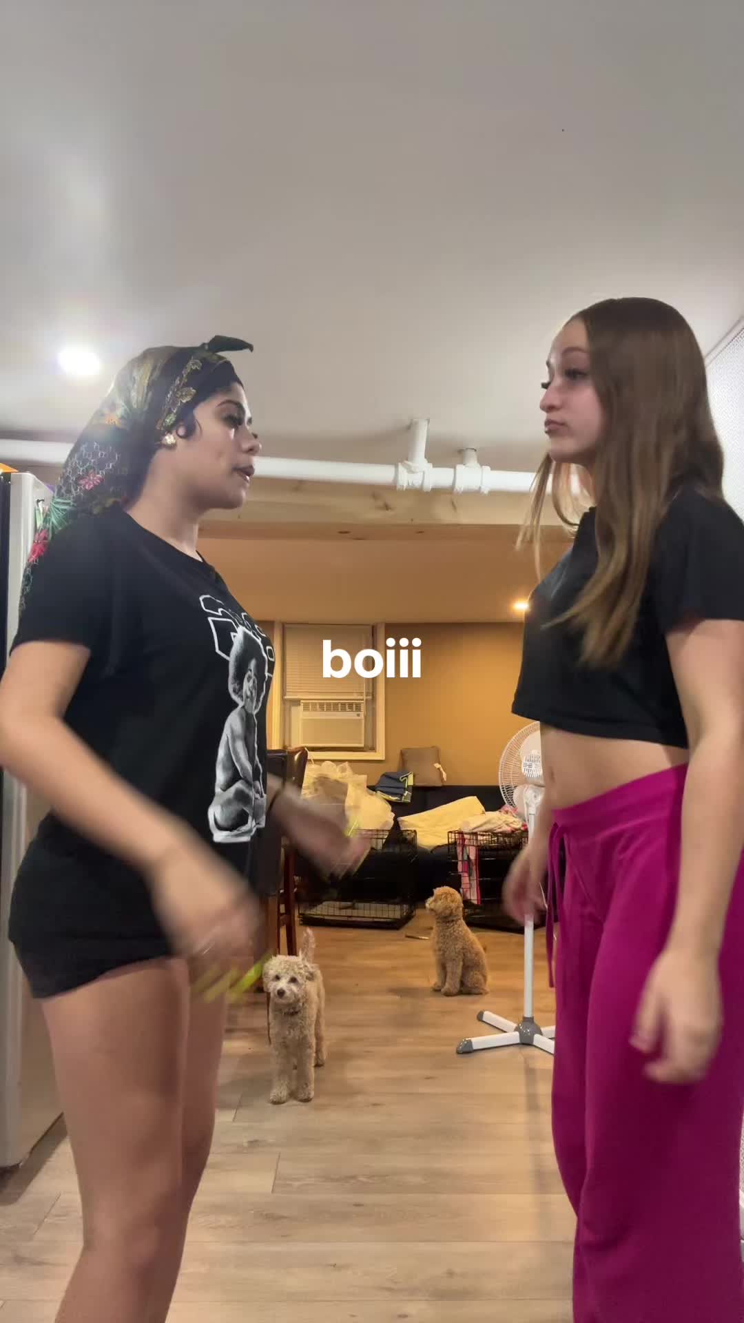 @ᥫ᭡ ᥫ᭡