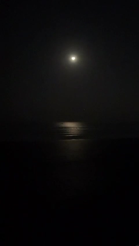 @Murshidsaeen