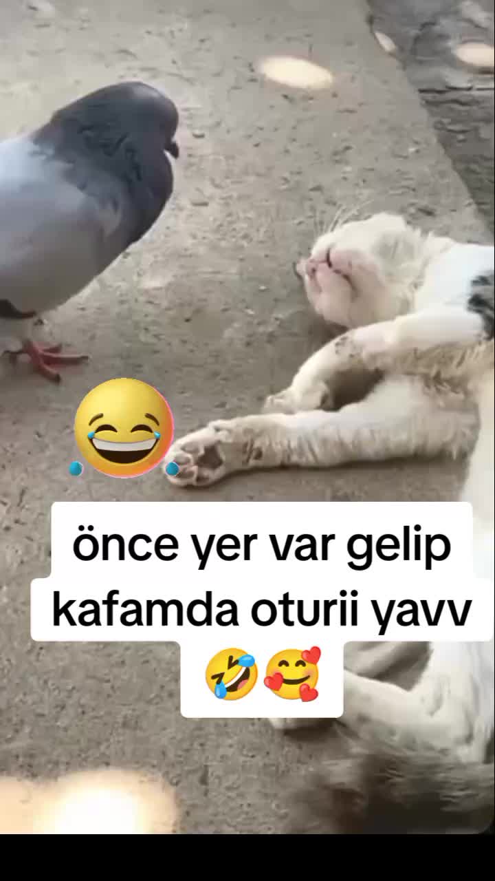 @gamzeli kızı 😊 minnoşlari