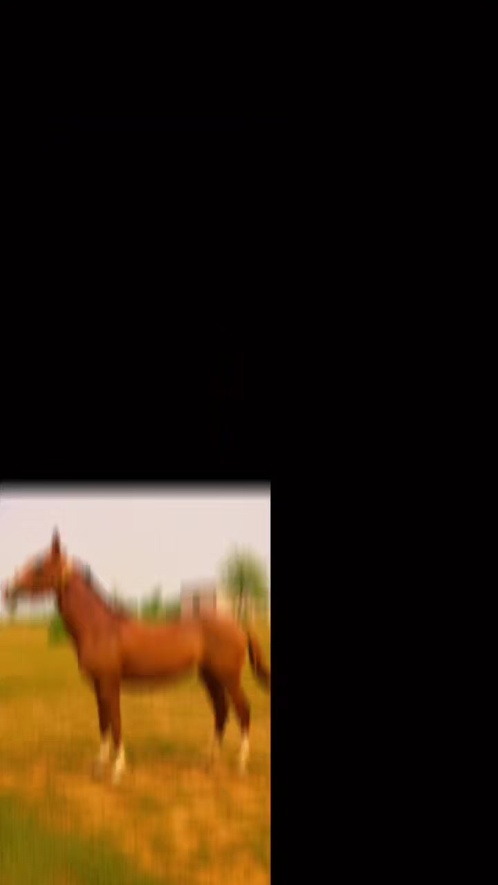 @hamara village sipyala🐴🐎🇵🇰