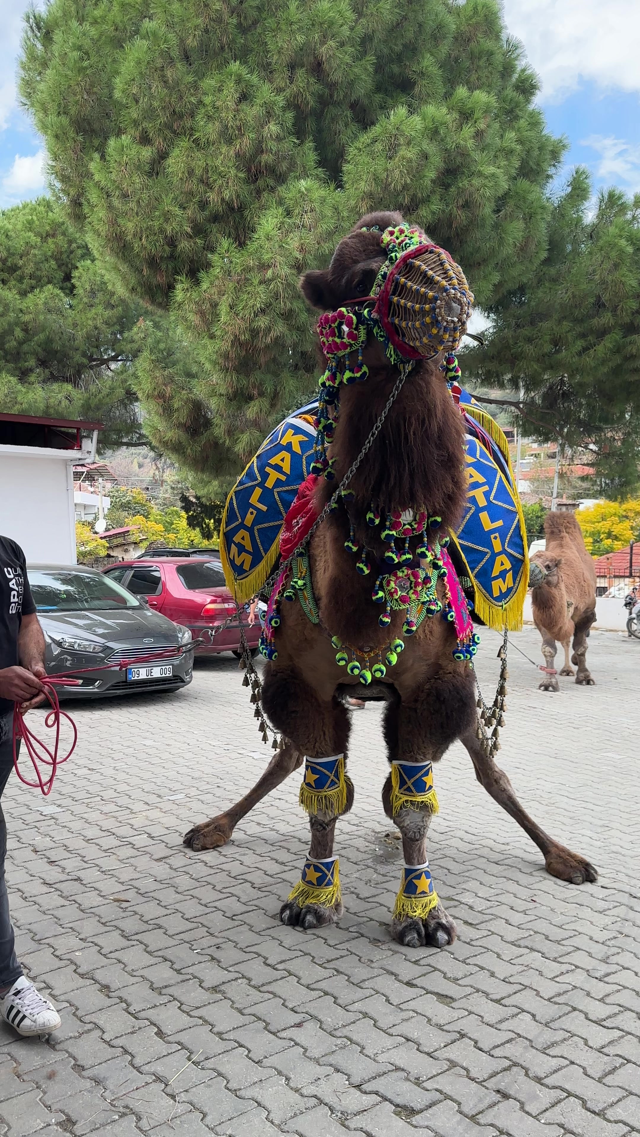 @Ozan,Kılınç