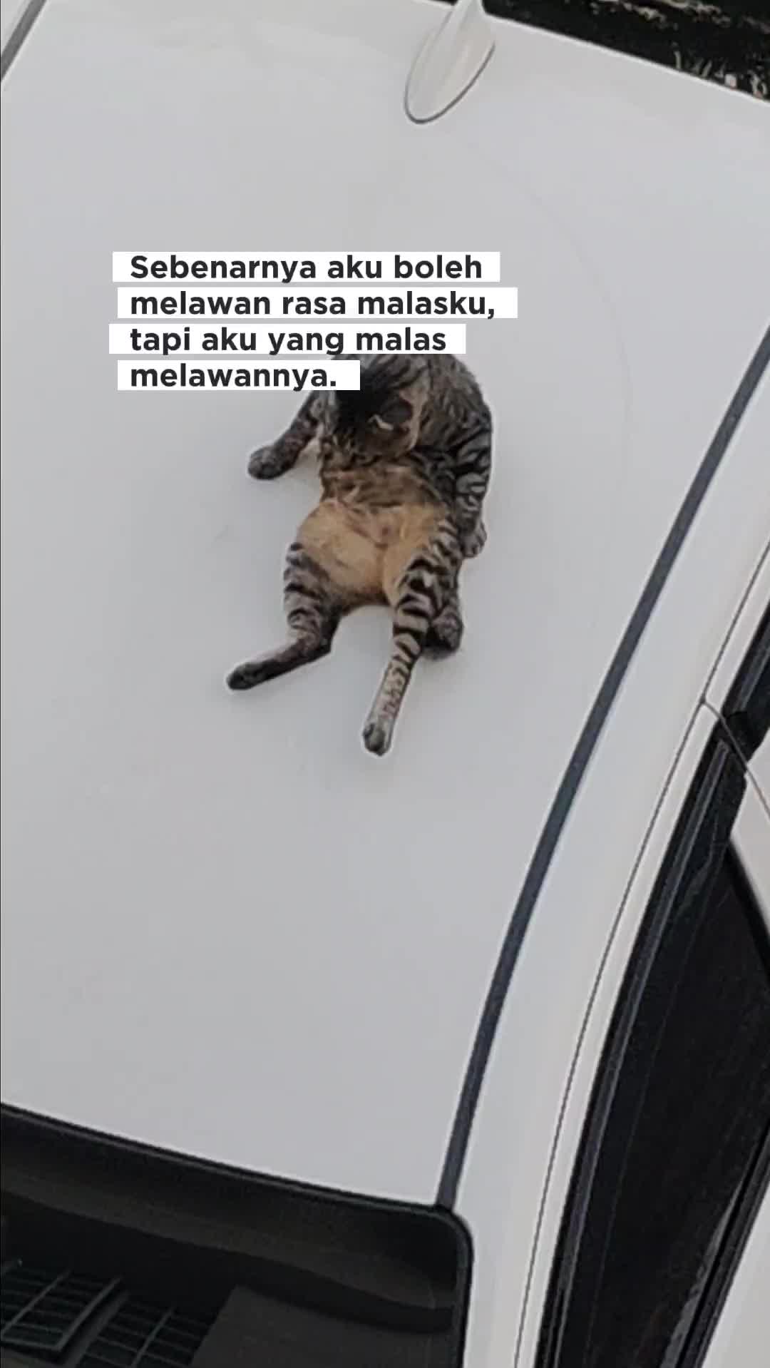 @Helga Sharona