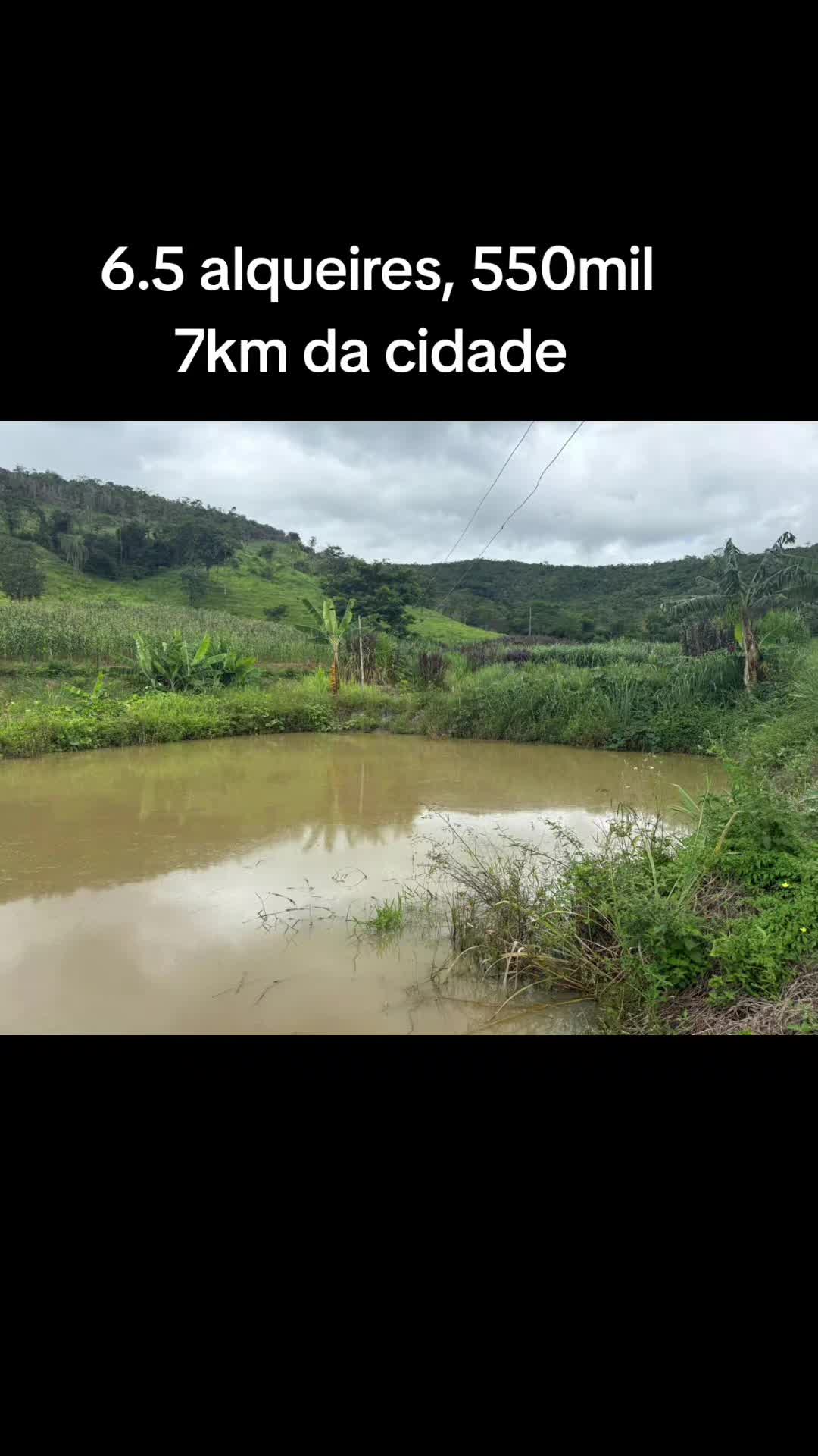 @O REI DAS FAZENDAS.
