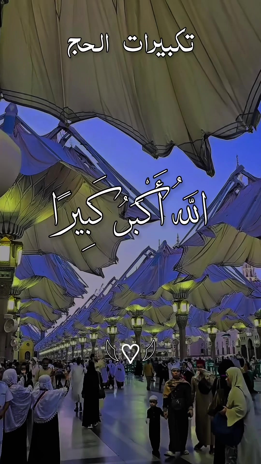 @❣️ Words of Allah ❣️