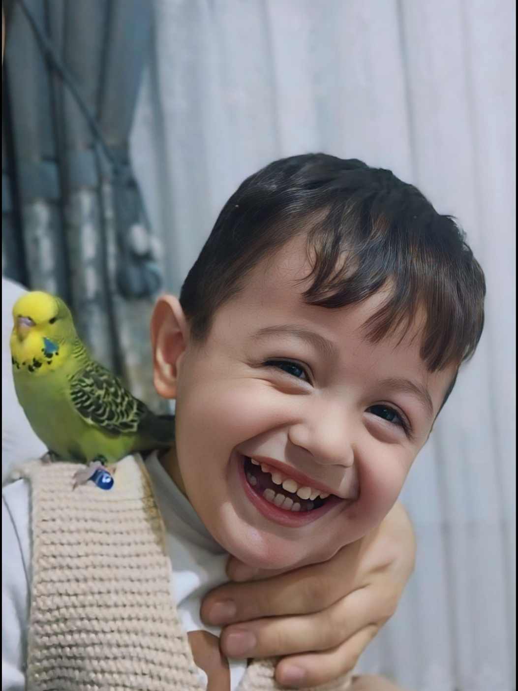@BARAKLI_ALPER27