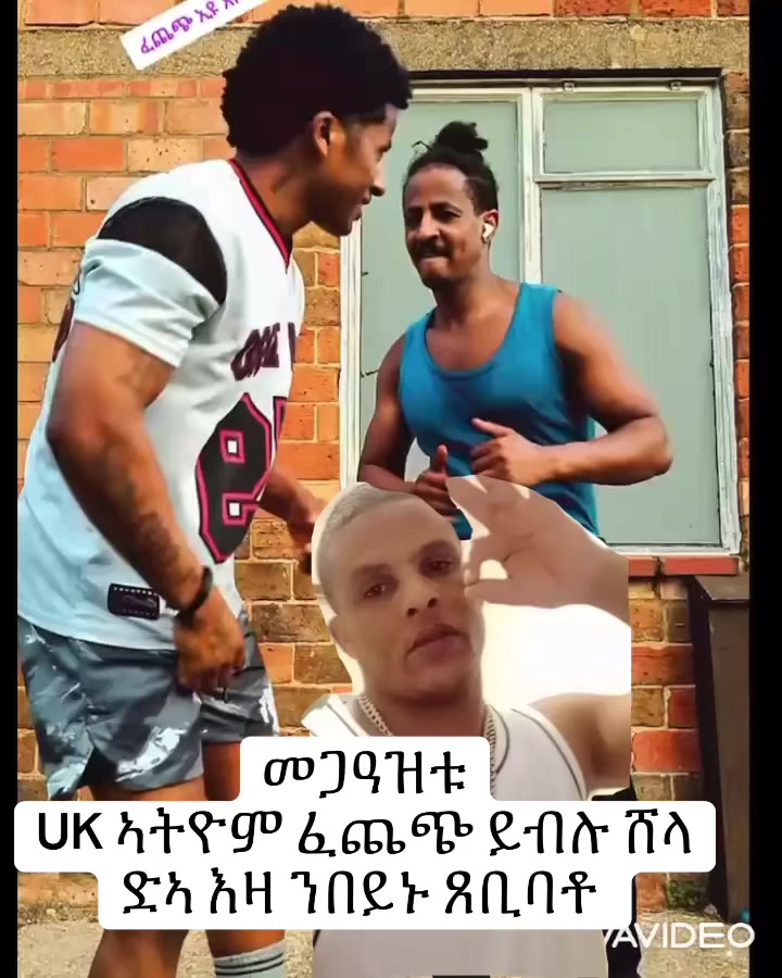 @miklehabte