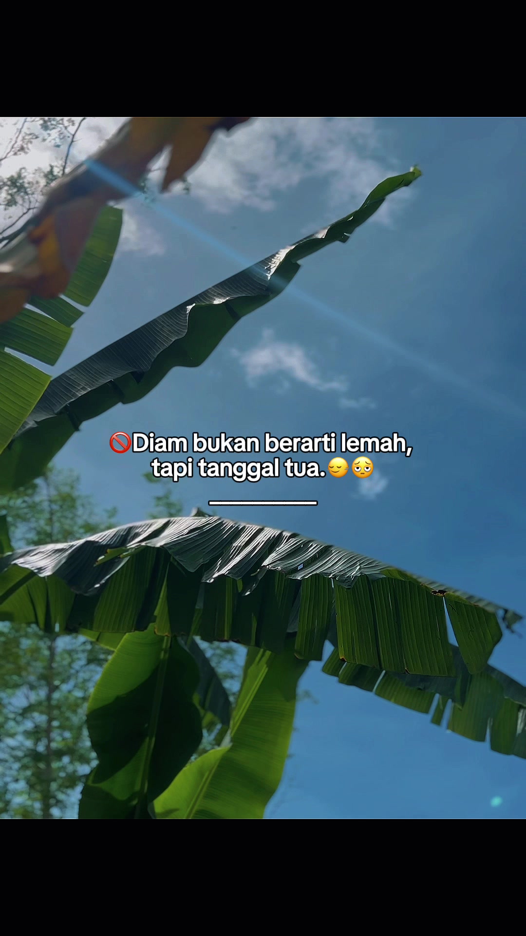@INTROVERT