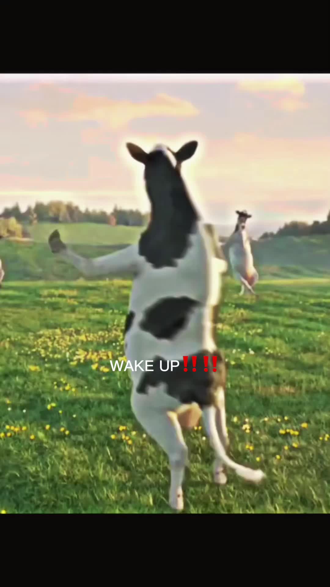 @Jeffre e