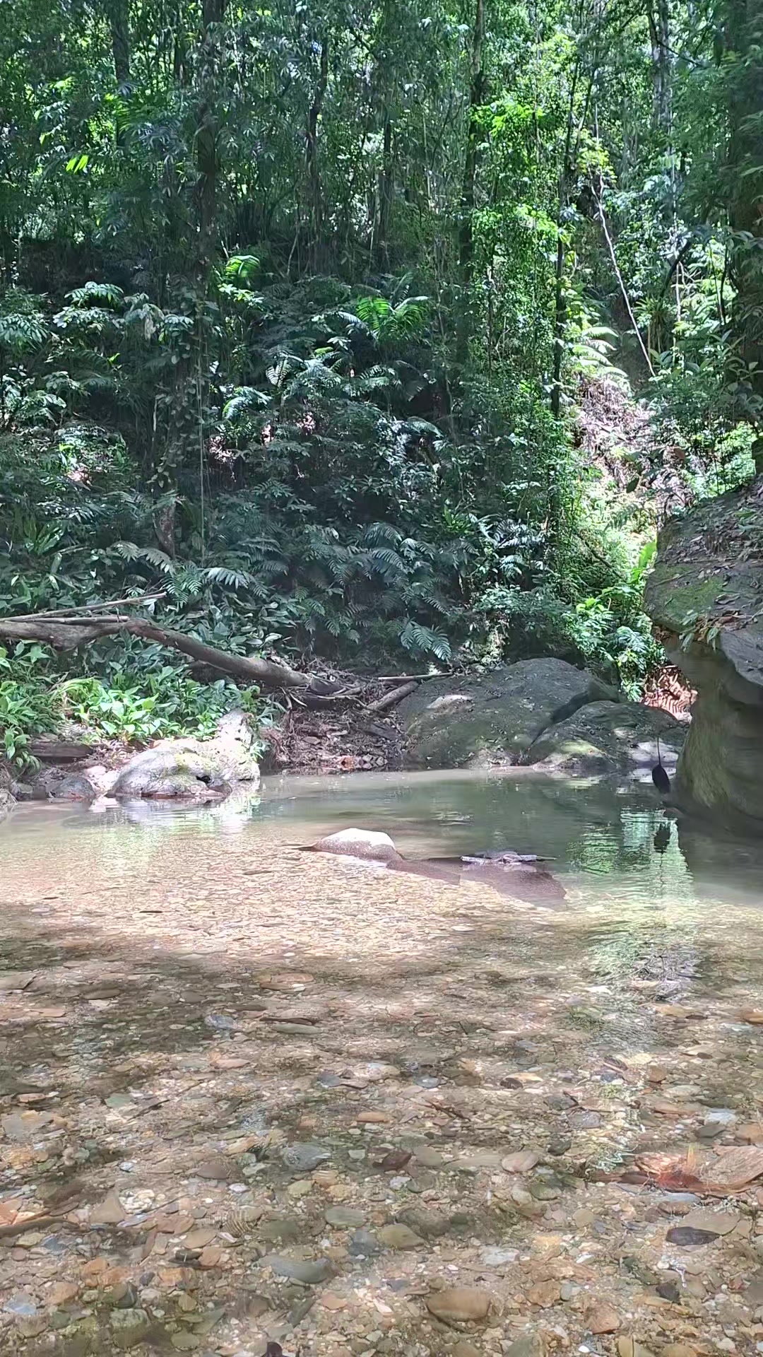 @HikeLife Adventures