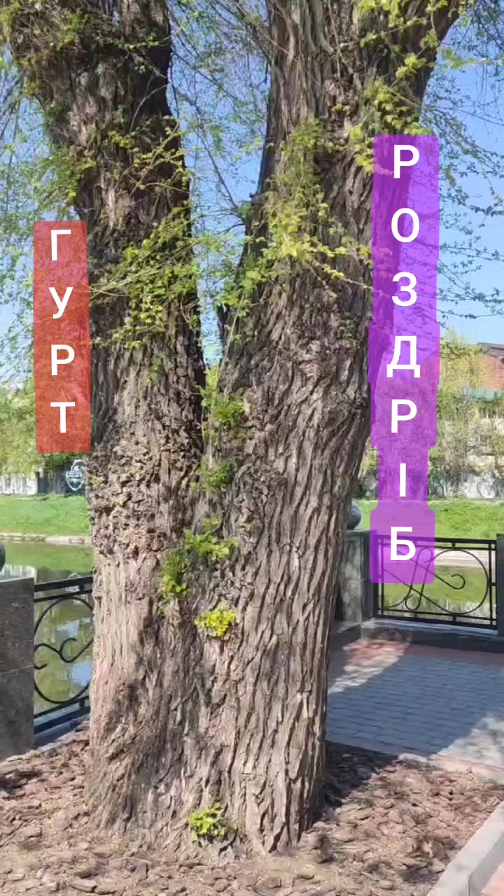 @evgen