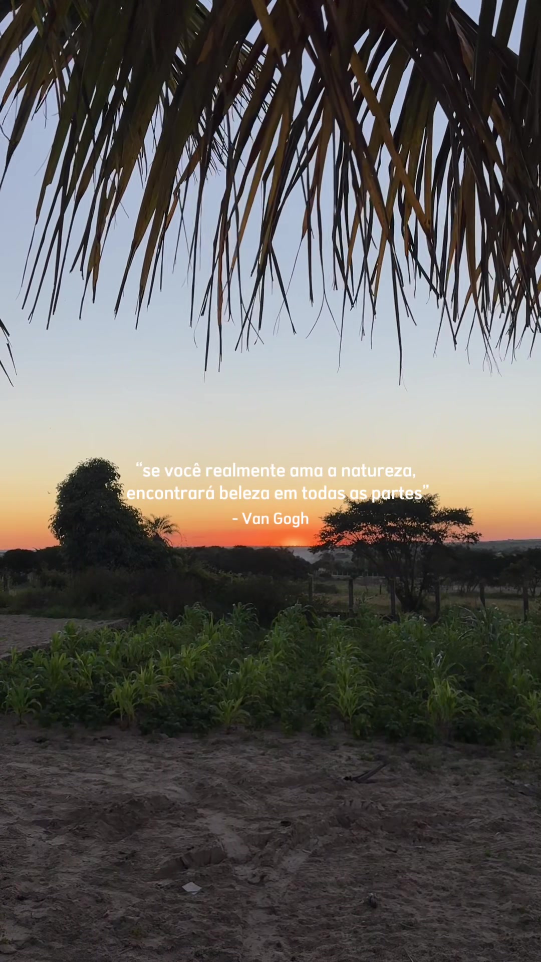 @Carol Coelho