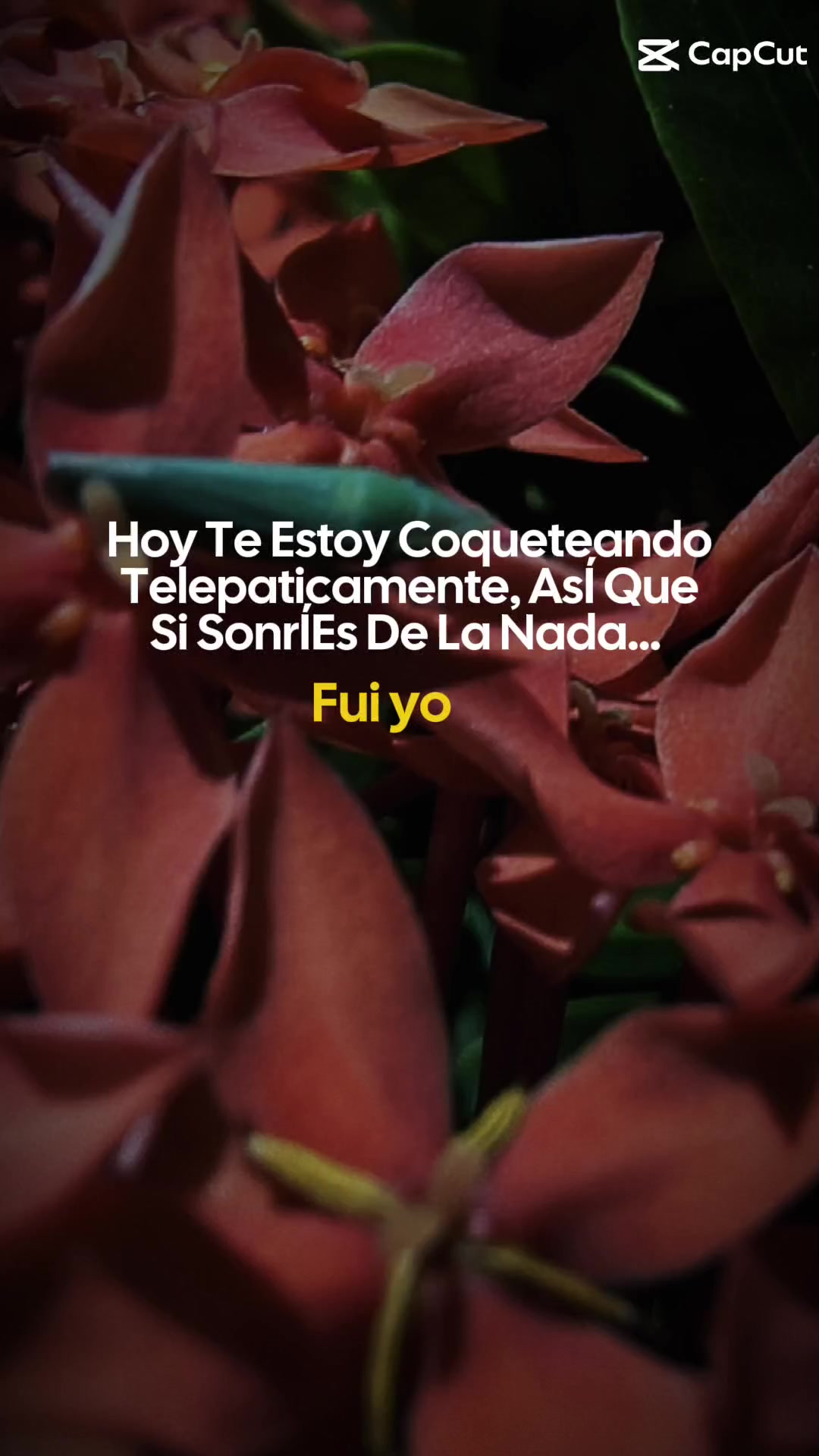 @Fatimiux