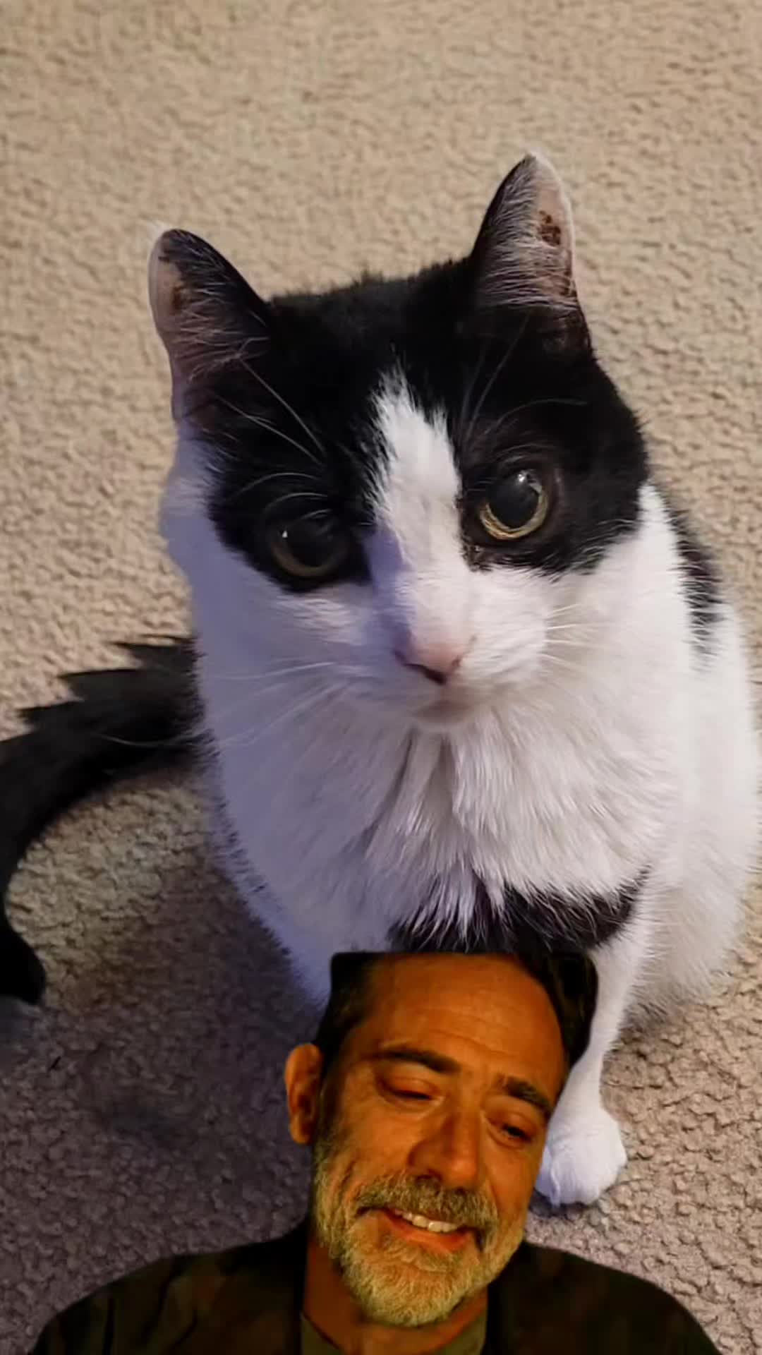 @🎃JJ🎃