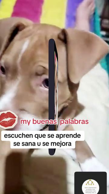 @paulina