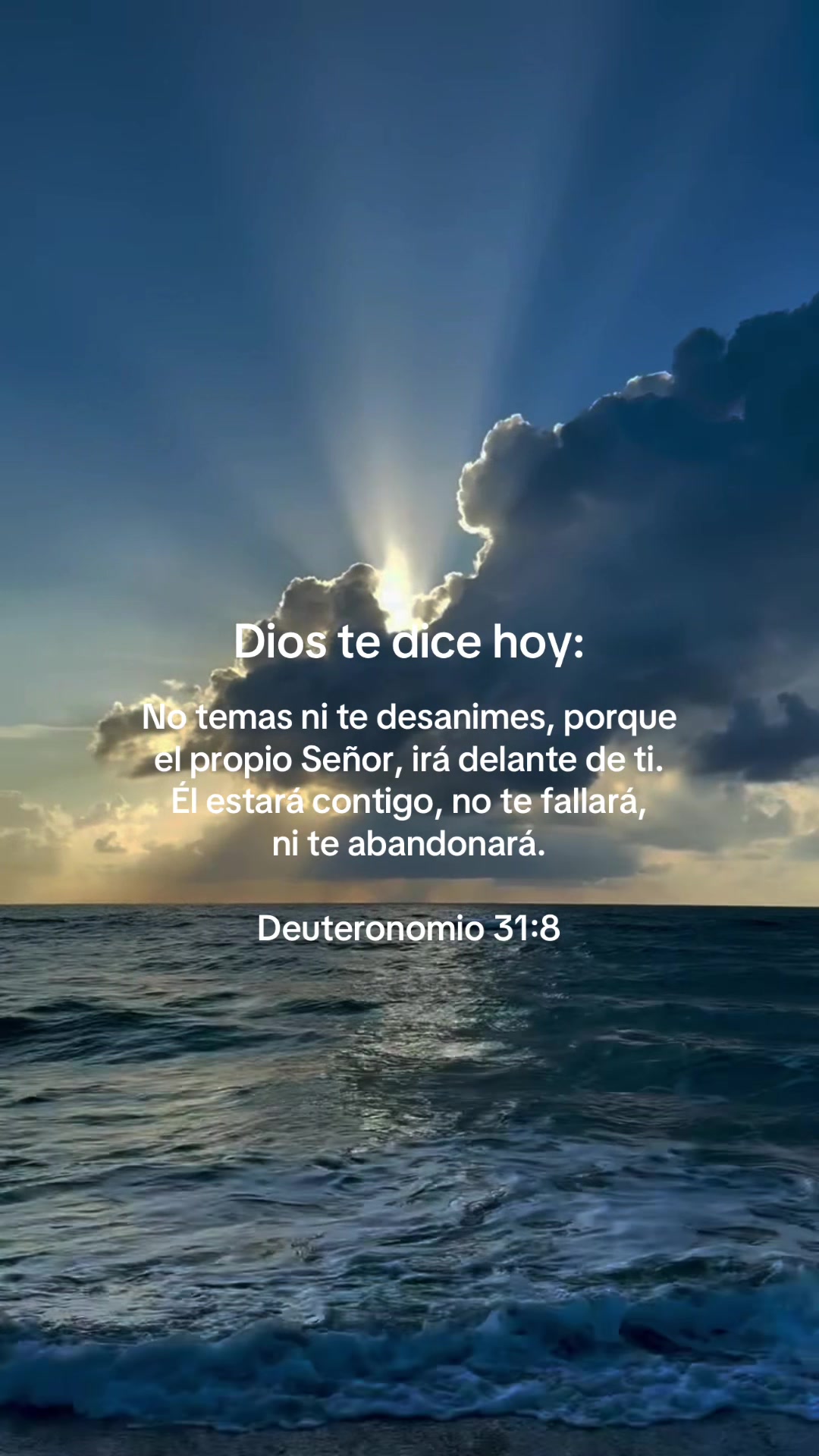 @thaniaSayegh💫frases