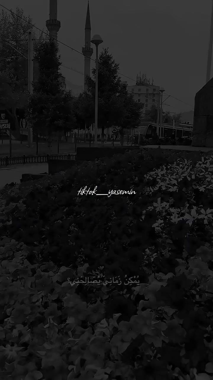 @🌸 yas_ياسمين 🌸