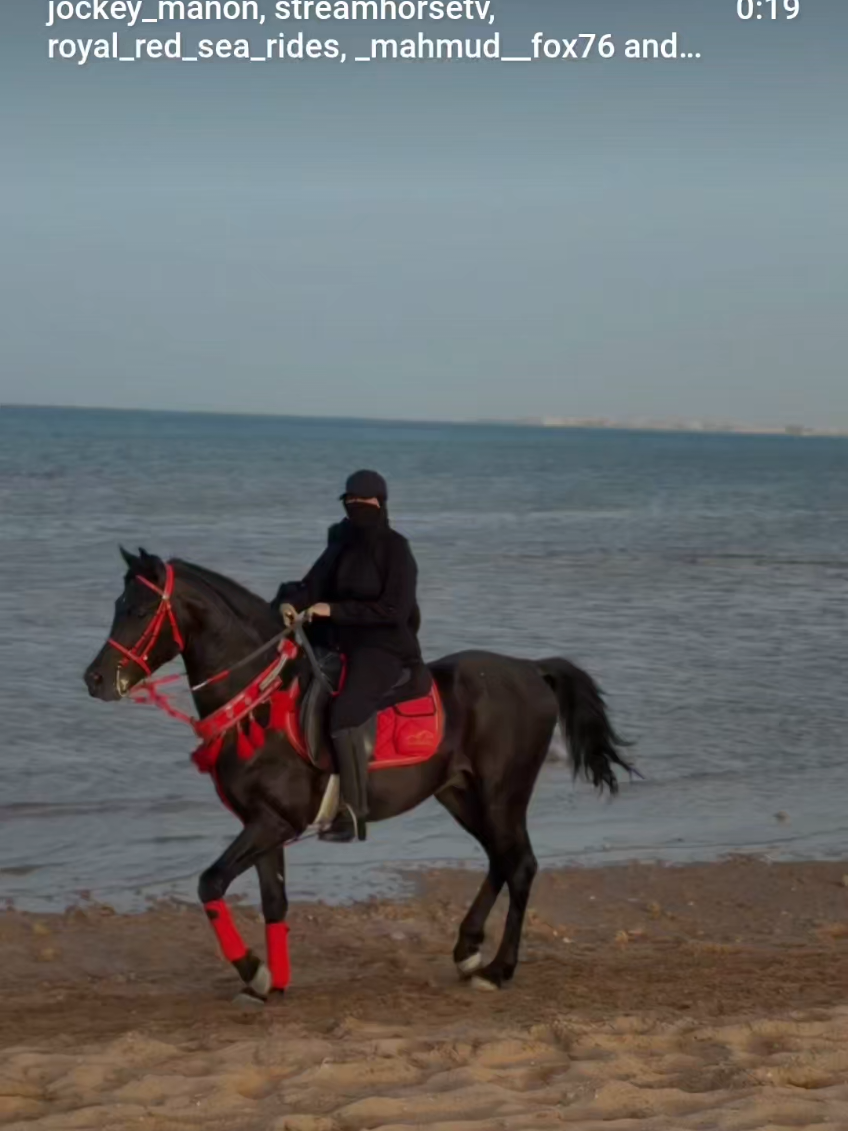 @streamhorse
