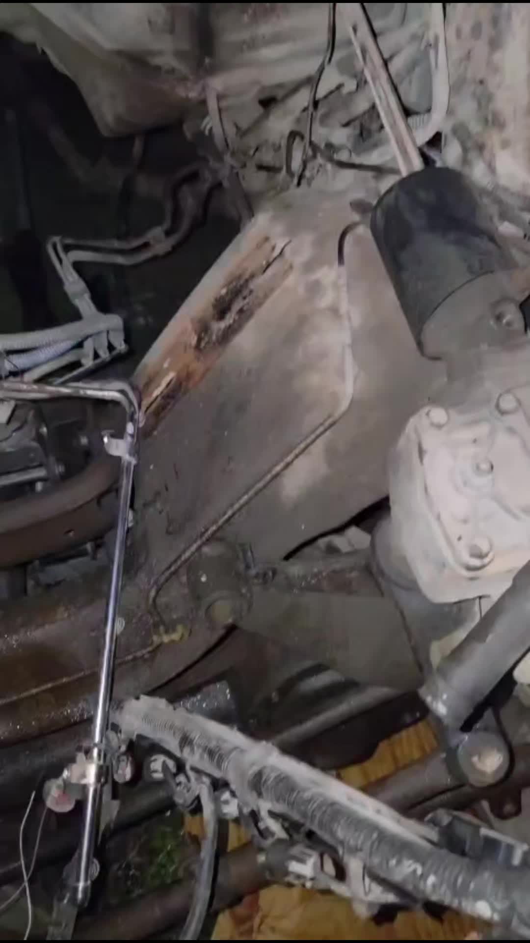 @Jaxon the jackass