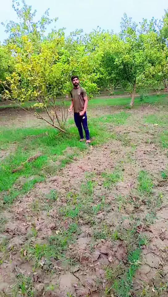 @Asadarain176