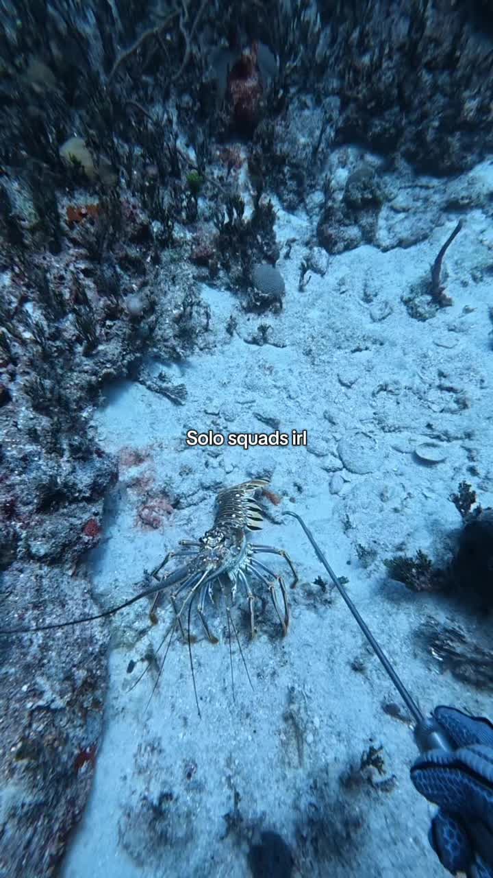 @Tommybahama_242_