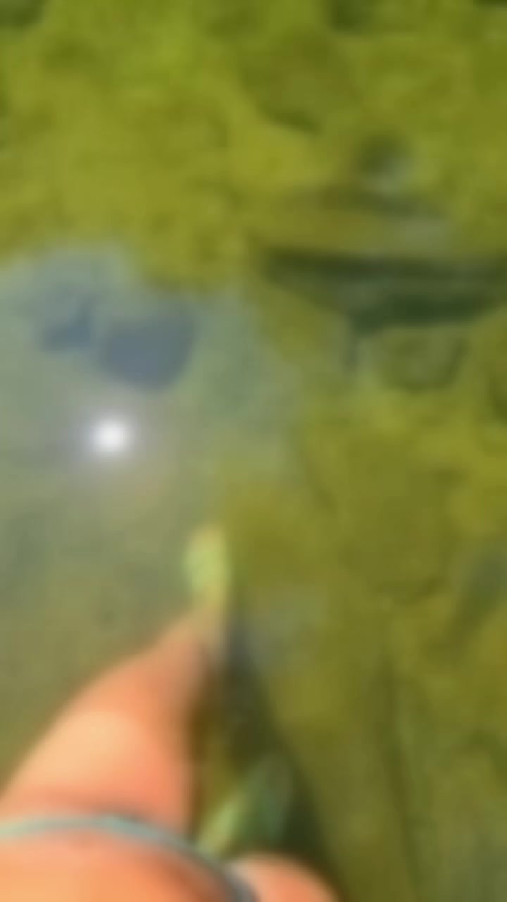 @nguynphngkhanh020