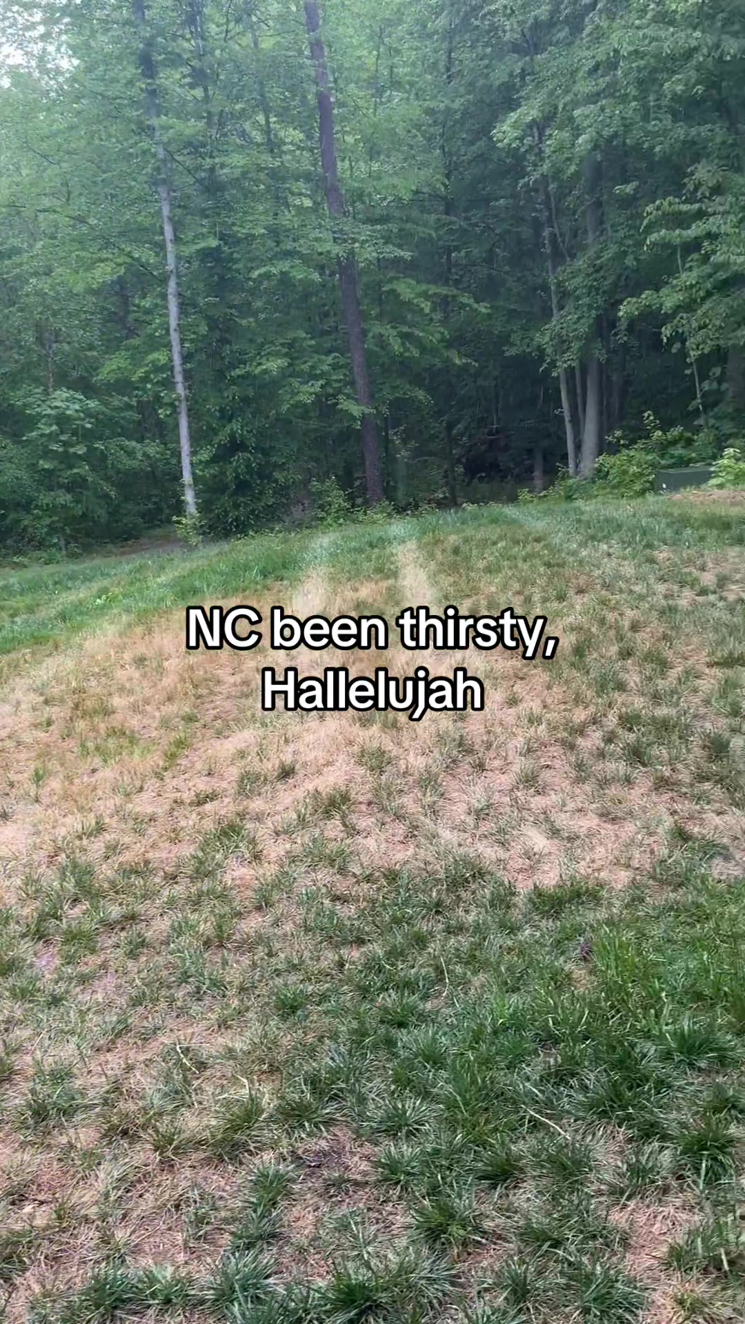 @Krysten Elmore 🖤