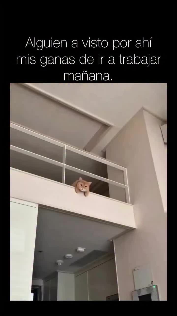 @𝕰𝖑_𝑮𝑼𝑬𝑹𝑹𝑬𝑹𝑶_🇲🇽👑✌