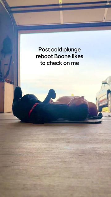 @TheadventuresofBronx&Boone