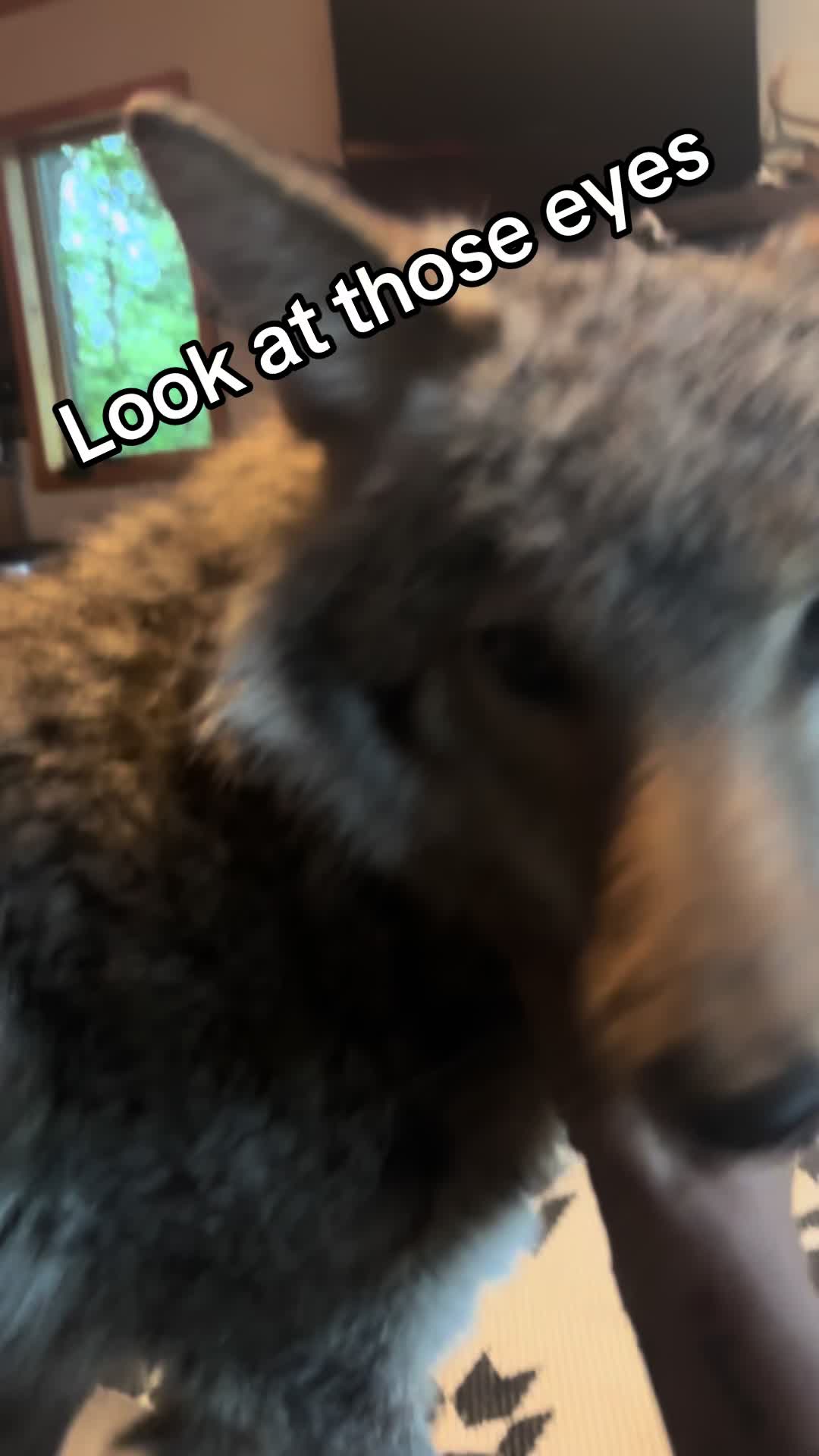 @ittybittyfarm1