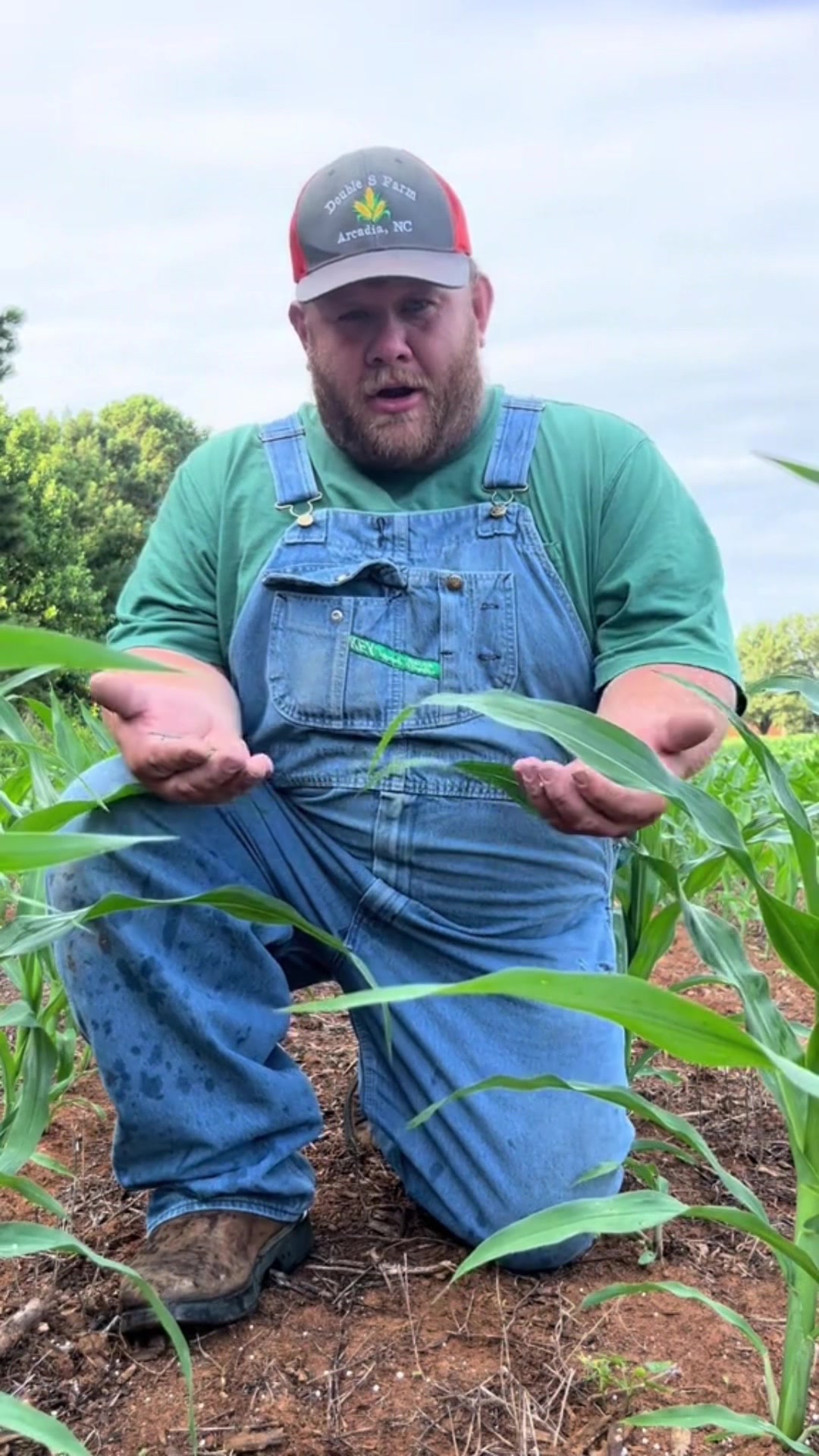 @Tarheel Farmer