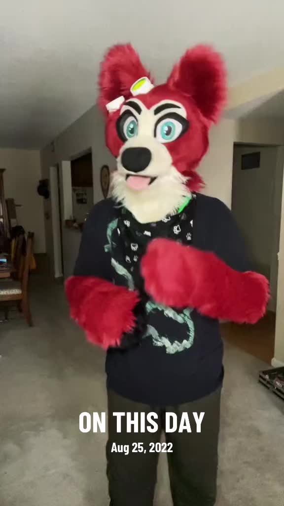 @🦊 Pete The Fox 🦊